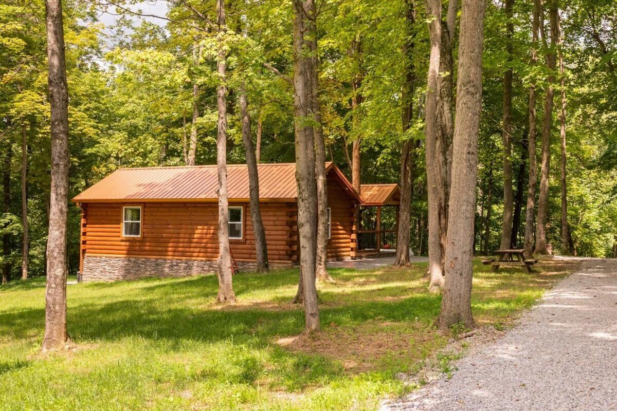 Secluded Wooded Cabin Near The Hocking Hills New Straitsville Экстерьер фото